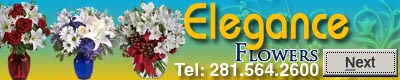 Elegance Flowers